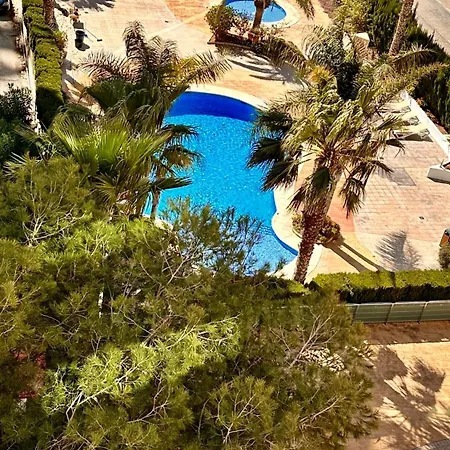 Alba Vinca Calpe